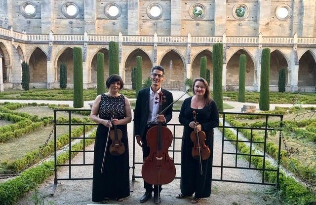 Le trio, créé en l'an 2000, est composé de trois musiciens de chambre et d'orchestre. Ils ont choisi d'unir leur passion pour créer un ensemble. Il est constitué d’Irma Barbutsa  au violon, de Delphine Haas à l'alto et de Christophe Jeannin au violoncelle. Le groupe se produit à Paris comme en province et est en mesure de jouer un vaste répertoire baroque, classique, romantique, mais aussi musique de film, tango, ragtime, pop, jazz, musiques traditionnelles, musiques du monde et actuelles. Avec Alcyone de la musique pour tous vos événements !